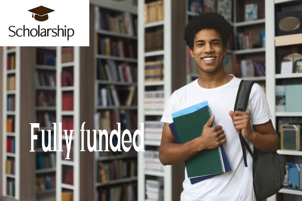 scholarships for african students