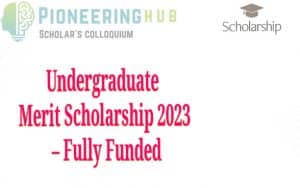 Undergraduate Merit Scholarship 2023 In The United States - Fully Funded